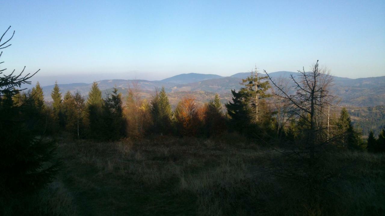 Domlesny Hotel Kiczora Bagian luar foto